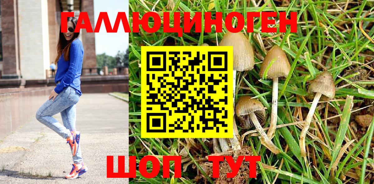 Великие Луки  Галлюциногенные грибы прущие грибы  Вход с VPN  Псилоцибиновые грибы мицелий 